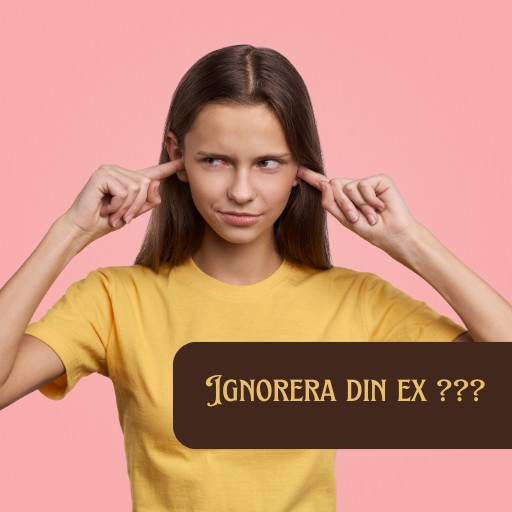 Ignorera din ex